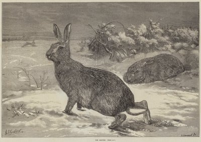 Månederne, februar af George Bouverie Goddard